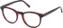 Timberland TB50071 glasses in Red/Horn