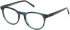 Timberland TB50071 glasses in Light Blue/Horn