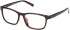 Timberland TB50077-H-56 glasses in Shiny Blue