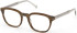 Timberland TB50084 glasses in Shiny Dark Green