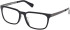 Timberland TB50086-H glasses in Shiny Black