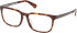 Timberland TB50086-H glasses in Coloured Havana