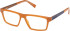 Timberland TB50091 glasses in Shiny Light Brown