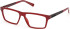Timberland TB50091 glasses in Red