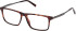 Timberland TB50093-53 glasses in Dark Havana
