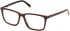 Timberland TB50095-H-55 glasses in Brown Horn
