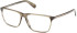 Timberland TB50098 glasses in Green Horn