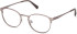 GA50101 glasses in Matte Light Bronze