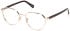 GU50136 glasses in Shiny Pale Gold