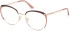 GU50250 glasses in Matte Beige