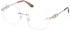 GU50319 glasses in Shiny Pale Gold