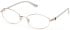GU50355 glasses in Shiny Pale Gold
