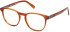 TB1804 glasses in Light Brown/Striped
