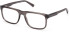 TB50055 glasses in Shiny Grey