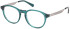 GA50063 glasses in Shiny Dark Green