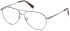 GA50099 glasses in Shiny Dark Bronze