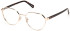 GU50136 glasses in Shiny Pale Gold