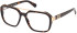 GU50138 glasses in Dark Havana
