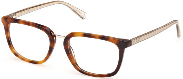 GU50392 glasses in Blonde Havana