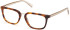 GU50392 glasses in Blonde Havana