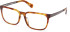 TB50086-H glasses in Havana/Havana