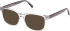 Gant GA50005 sunglasses in Shiny Grey