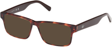 Gant GA50017 sunglasses in Red Havana