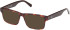 Gant GA50017 sunglasses in Red Havana