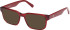 Gant GA50030 sunglasses in Shiny Dark Red
