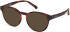 Gant GA50056 sunglasses in Dark Havana