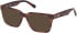 Gant GA50059 sunglasses in Red Havana