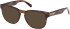 Gant GA50061 sunglasses in Dark Havana