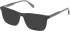 Gant GA50066 sunglasses in Matte Black