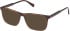 Gant GA50066 sunglasses in Dark Havana