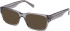 Gant GA50073 sunglasses in Shiny Grey
