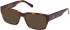 Gant GA50073 sunglasses in Dark Havana