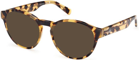 Gant GA50074 sunglasses in Blonde Havana