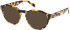 Gant GA50074 sunglasses in Blonde Havana