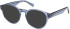 Gant GA50074 sunglasses in Shiny Blue