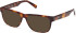 Gant GA50075 sunglasses in Dark Havana
