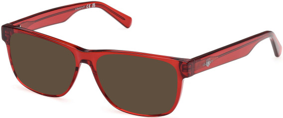 Gant GA50075 sunglasses in Shiny Bordeaux