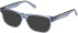 Gant GA50075 sunglasses in Shiny Blue