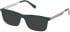 Gant GA50076-54 sunglasses in Shiny Dark Green