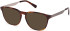 Gant GA50077 sunglasses in Dark Havana