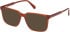 Gant GA50078 sunglasses in Shiny Dark Orange