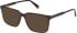 Gant GA50078 sunglasses in Dark Havana
