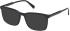 Gant GA50079 sunglasses in Shiny Black