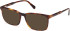 Gant GA50079 sunglasses in Dark Havana