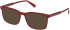 Gant GA50079 sunglasses in Shiny Dark Red