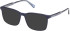Gant GA50079 sunglasses in Shiny Blue